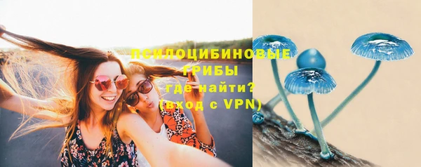 сатива Осташков