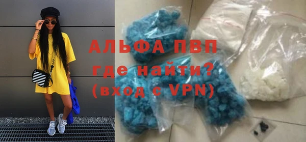 сатива Осташков