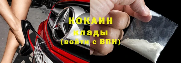 сатива Осташков
