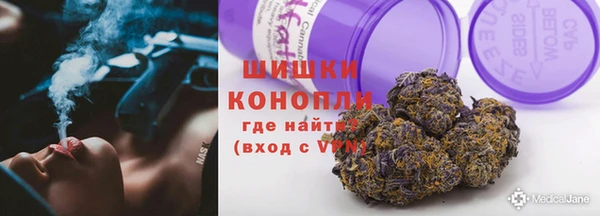 сатива Осташков