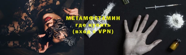 сатива Осташков