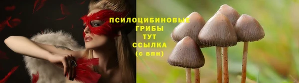 PSILOCYBIN Бронницы