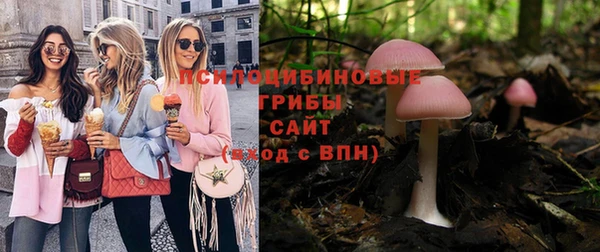 сатива Осташков