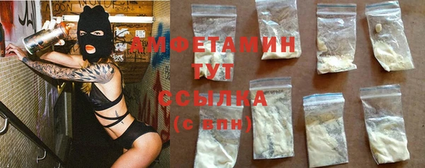 сатива Осташков