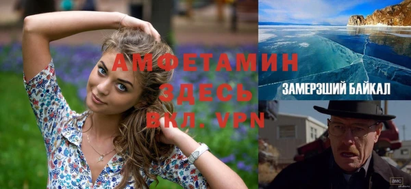 сатива Осташков